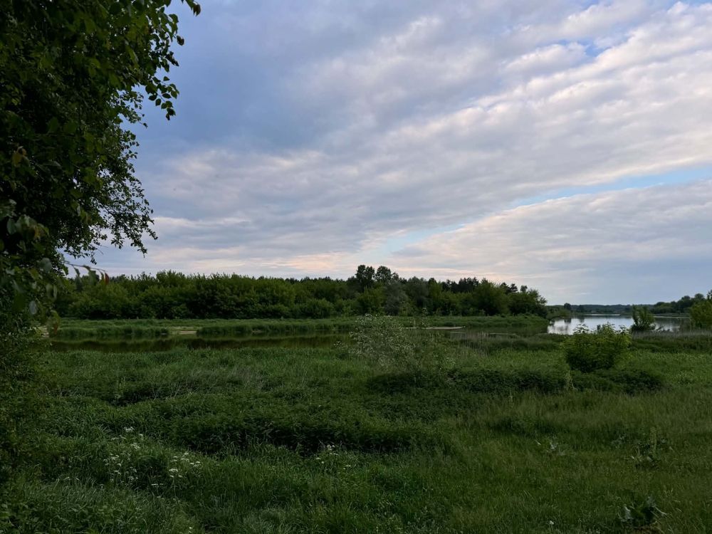 Działka rekreacyjna Mogielnica. Zdjęcie 8