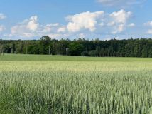 gospodarstwo Zalesie-Lenki. Zdjęcie 2