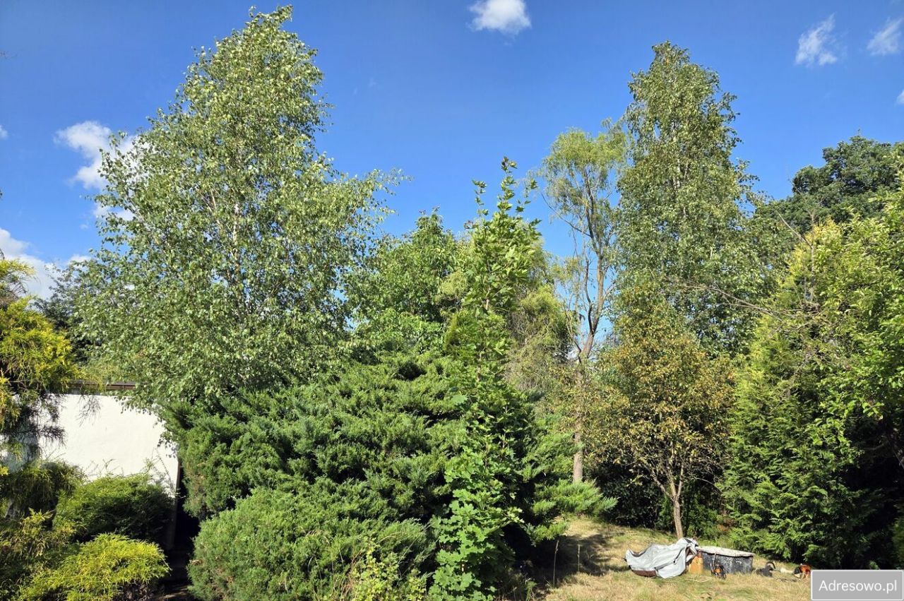 Działka rod Wrocław Wojnów, ul. Ubocze. Zdjęcie 6