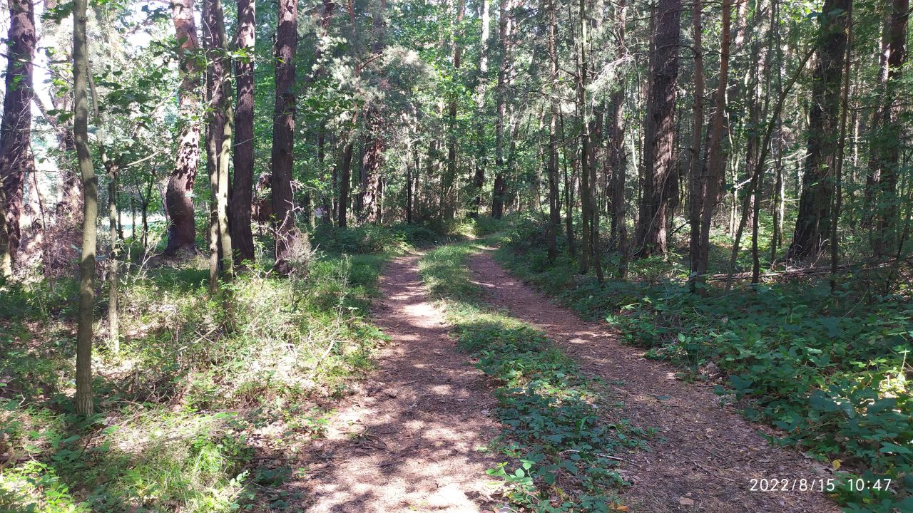 Działka rolna Bocheniec. Zdjęcie 9