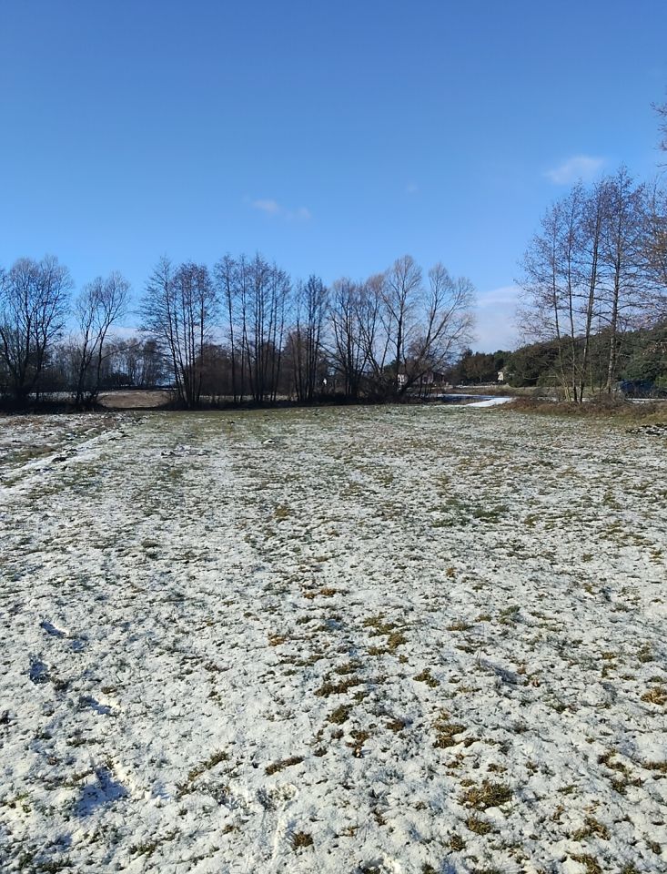 Działka budowlana Borów Nowy Borów. Zdjęcie 6