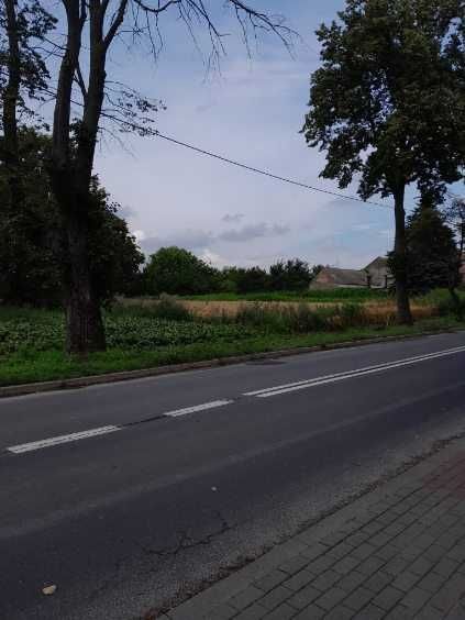 Działka budowlana Kleszczewo, ul. Lipowa. Zdjęcie 3