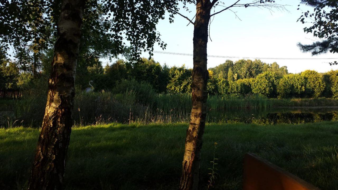 Działka rolna Tomaszkowo, ul. Wilcza. Zdjęcie 12