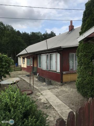 siedlisko, 2 pokoje Oksa, ul. Tadeusza Kościuszki. Zdjęcie 2