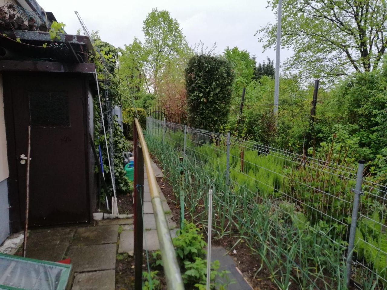 Działka rod Jastrzębie-Zdrój. Zdjęcie 5