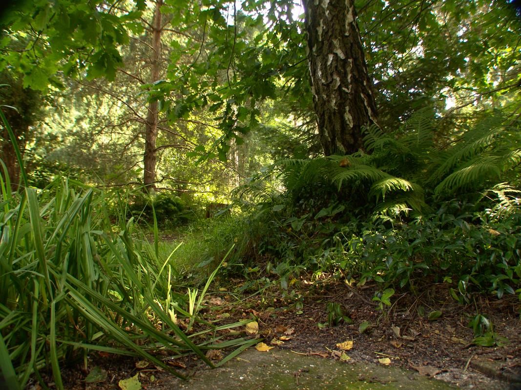 dom wolnostojący, 3 pokoje Magdalenka, ul. Piaskowa. Zdjęcie 51