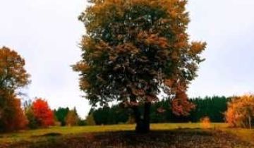 Działka budowlana Jeziorna