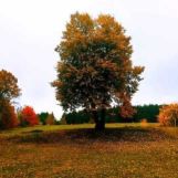 Działka budowlana Jeziorna. Zdjęcie 1