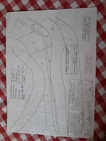 Działka rolna Kędzierzyn-Koźle Blachownia Śląska, ul. Stara Śluza. Zdjęcie 1