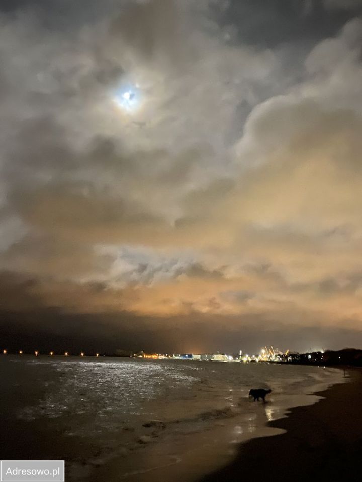 Pokój Gdańsk Brzeźno, ul. Dworska. Zdjęcie 17