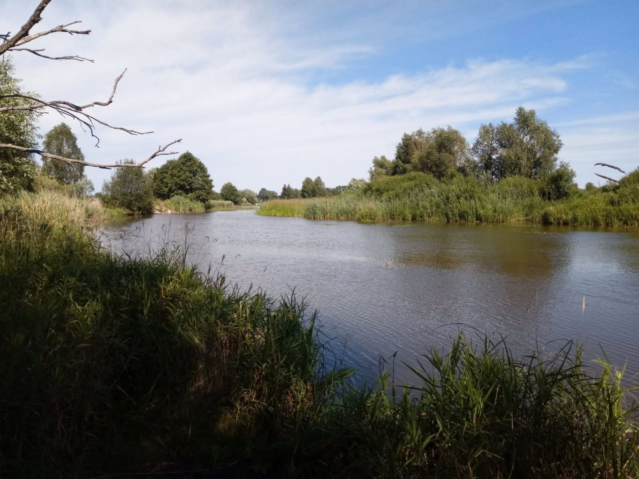 Działka rekreacyjna Kołoniec, Kołoniec. Zdjęcie 7