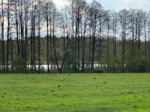 Działka budowlana Kolonia. Zdjęcie 2