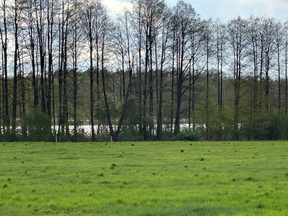 Działka budowlana Kolonia. Zdjęcie 3