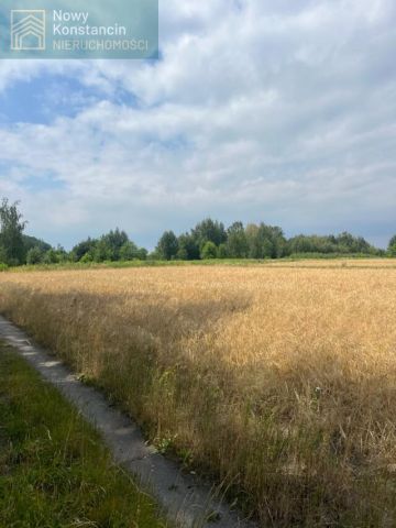 Działka budowlana Konstancin-Jeziorna, ul. Bukowa. Zdjęcie 3
