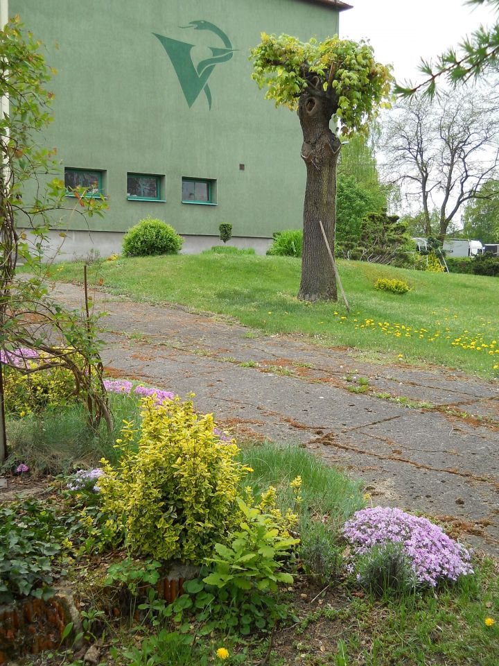 inny, 11 pokoi Skępe, ul. Sierpecka. Zdjęcie 5