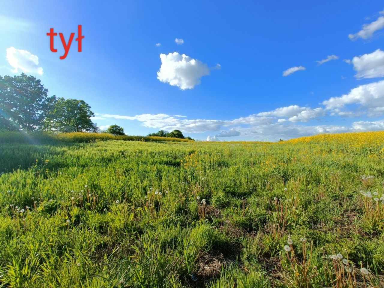 Działka budowlana Świdry. Zdjęcie 6