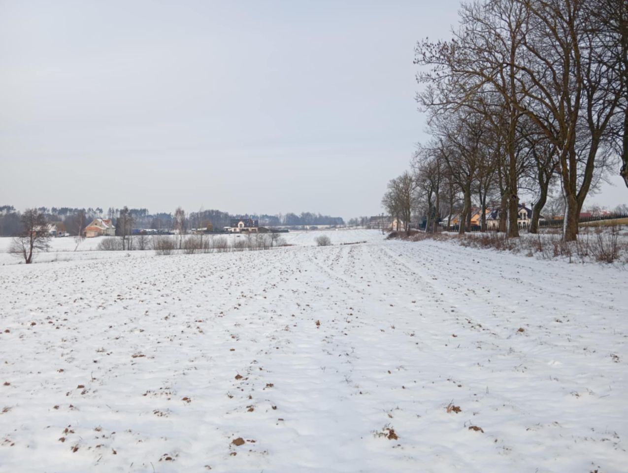 Działka rolno-budowlana Żalno, ul. Dworcowa. Zdjęcie 10