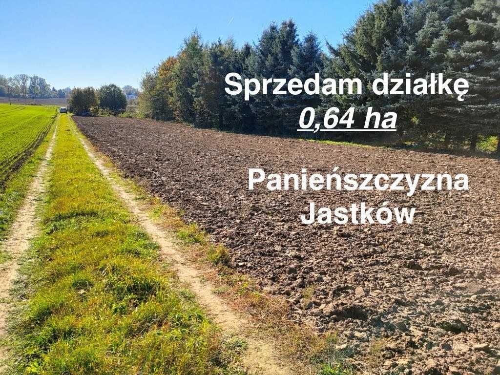 Działka rolno-budowlana Panieńszczyzna. Zdjęcie 6