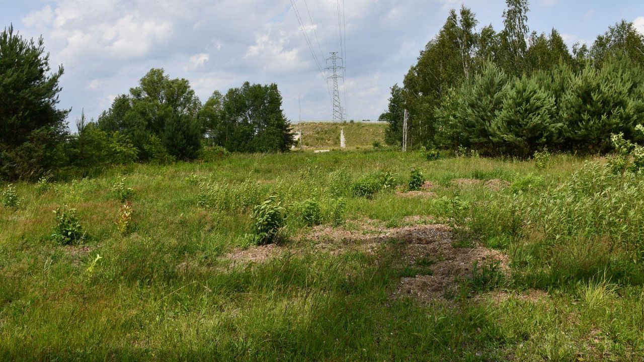 Działka inwestycyjna Szczaki, ul. Łanowa. Zdjęcie 9