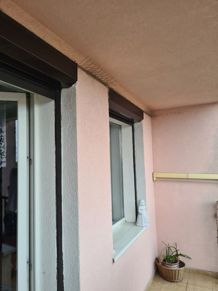 Mieszkanie 3-pokojowe Wałcz, ul. Chopina. Zdjęcie 12