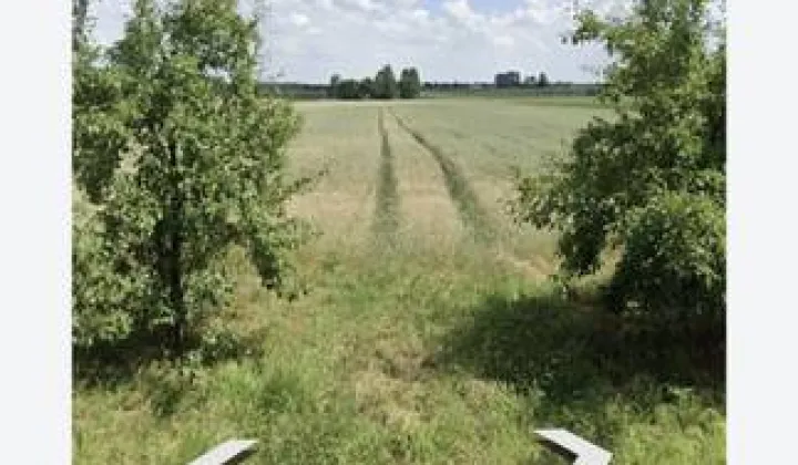 Działka budowlana Janów