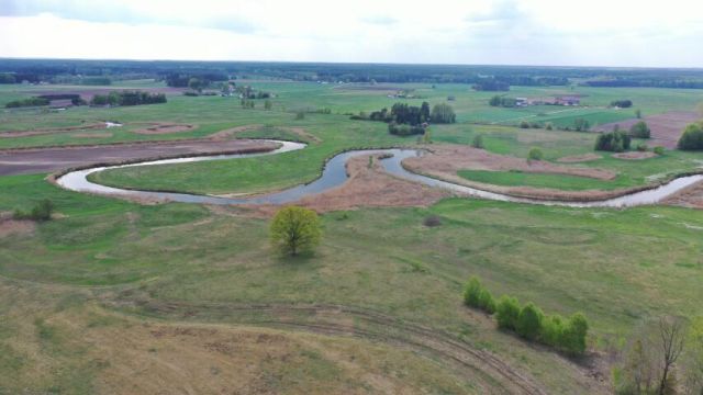 Działka rolno-budowlana Cieciory. Zdjęcie 9
