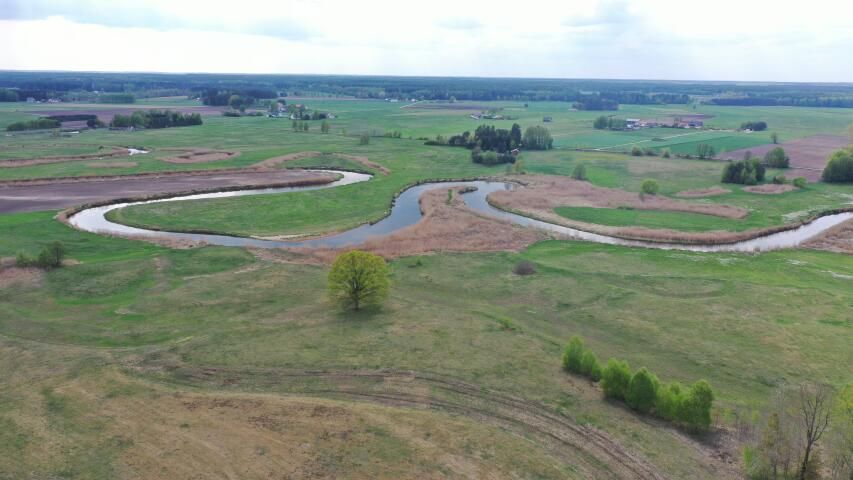 Działka rolno-budowlana Cieciory. Zdjęcie 9