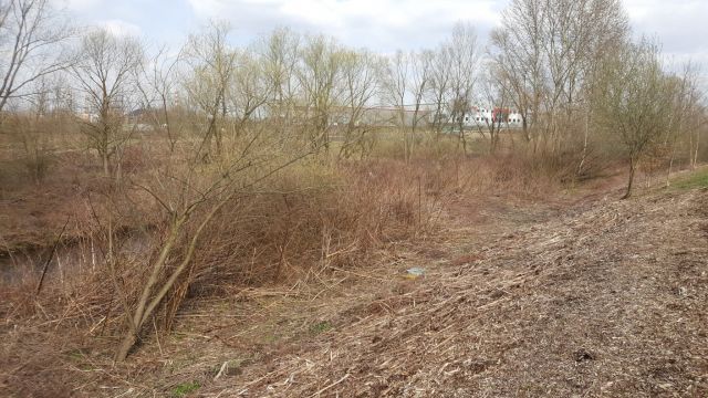 Działka inna Kaniów. Zdjęcie 4