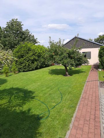 Działka rod Drzewce. Zdjęcie 1