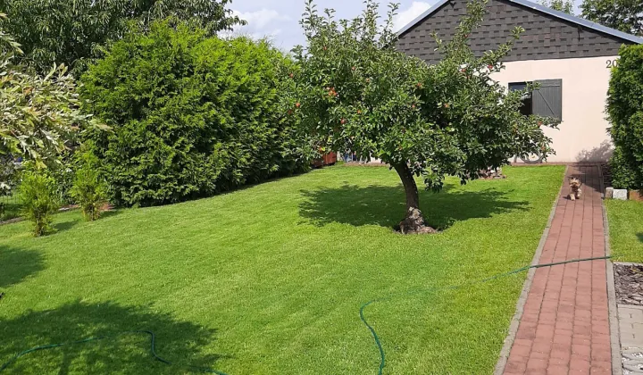 Działka rod Drzewce