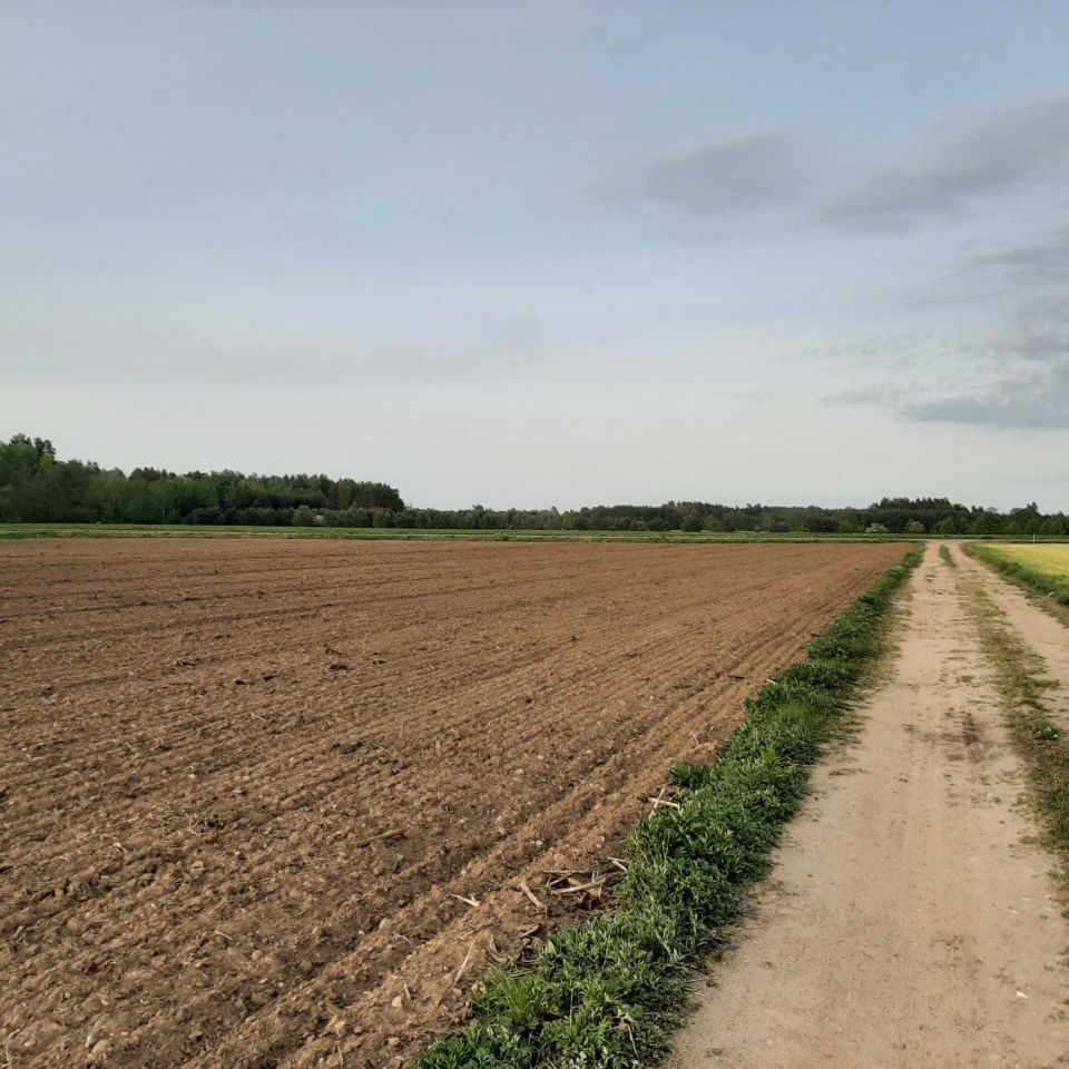 Działka budowlana Myszyniec Stary. Zdjęcie 7