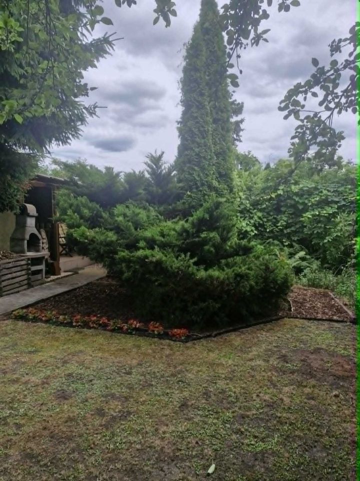 Działka rod Toruń. Zdjęcie 1