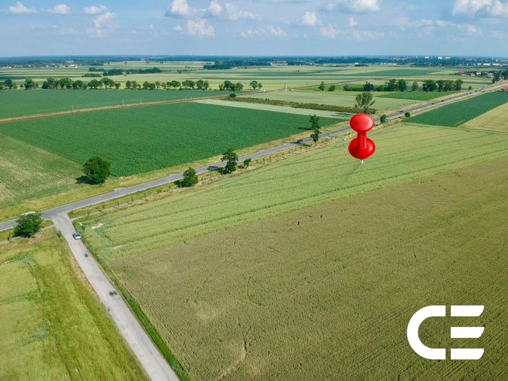 Działka inwestycyjna Nowosiedlice. Zdjęcie 11