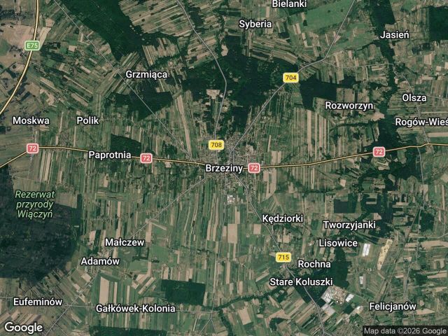 Działka rod Brzeziny. Zdjęcie 1