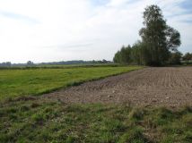 Działka rolno-budowlana Wępiły. Zdjęcie 4