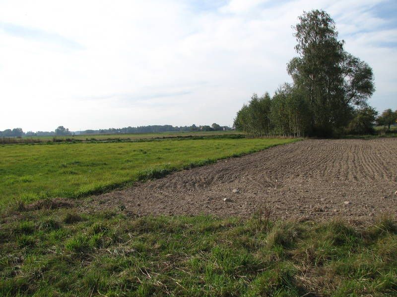 Działka rolno-budowlana Wępiły. Zdjęcie 5