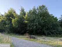 Działka budowlana Kraków Podgórze Duchackie, ul. Bednarska. Zdjęcie 2