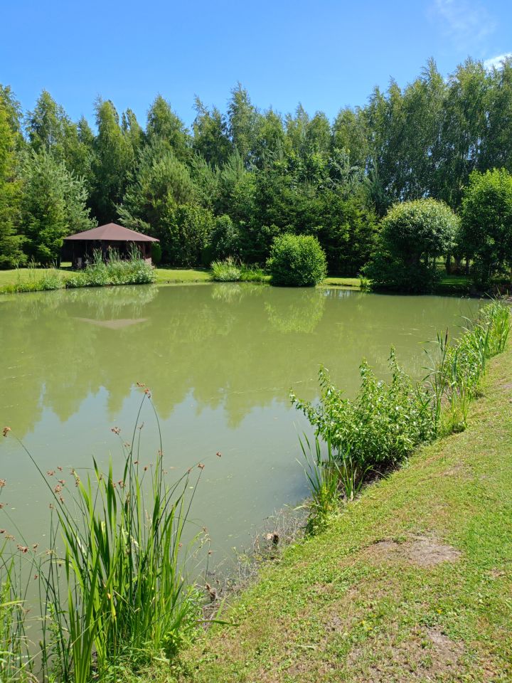 dom wolnostojący, 3 pokoje Wiktorowo. Zdjęcie 9