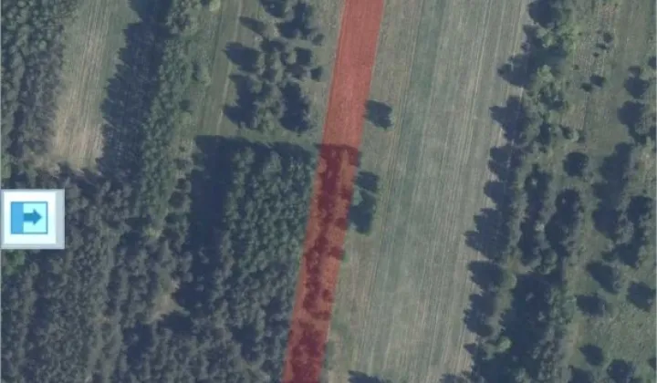 Działka rolna Koliszowy