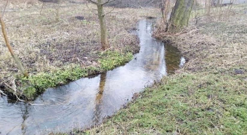 Działka rolno-budowlana Waleriany. Zdjęcie 6