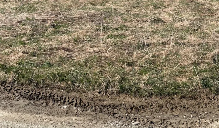 Działka rolna Sopotnia Mała