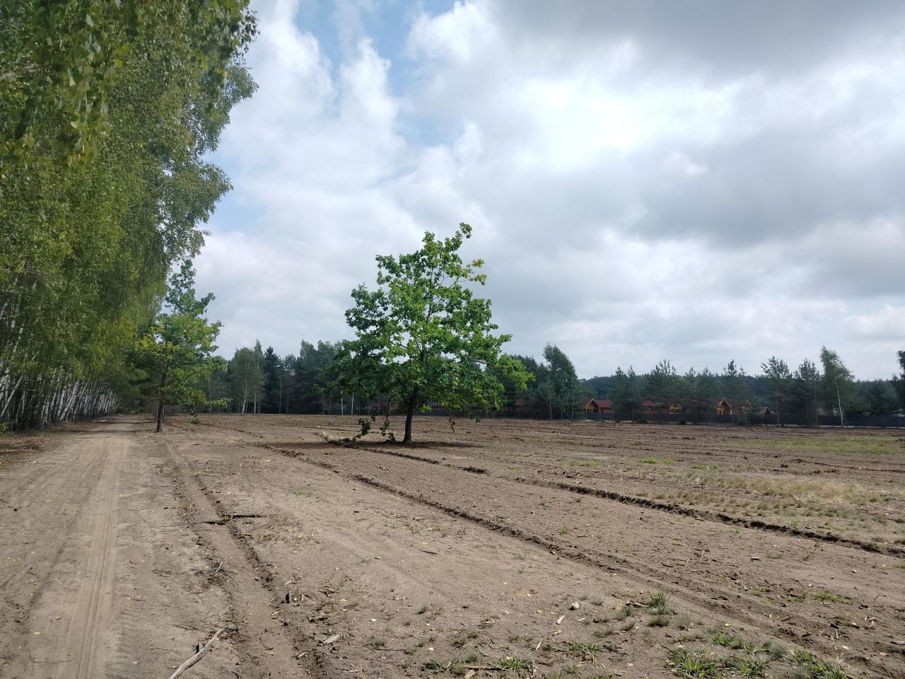 Działka rolna Krzyżówka, ul. Zarzeczna. Zdjęcie 3