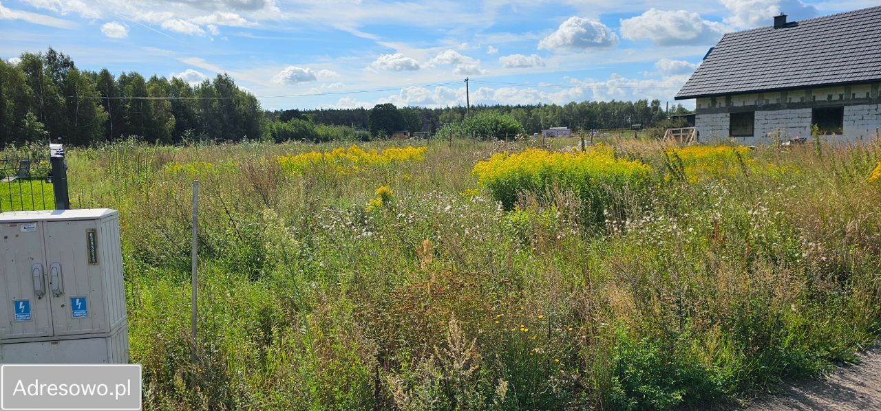 Działka budowlana Nowe Dąbie. Zdjęcie 2