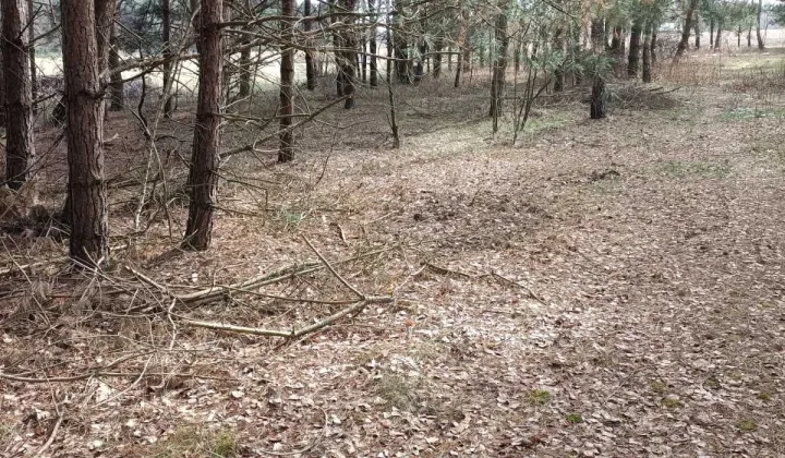 Działka rolna Duńkowice