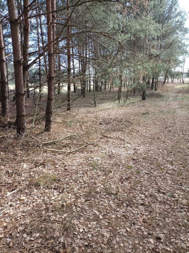 Działka rolna Duńkowice