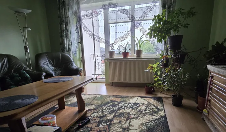 dom wolnostojący, 6 pokoi Kolno