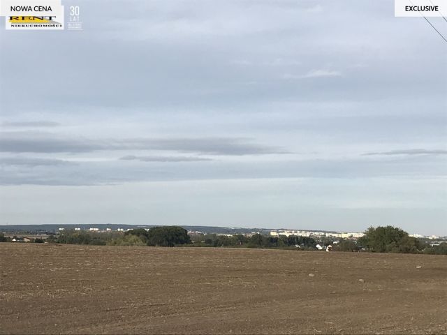 Działka rolna Karwowo. Zdjęcie 4