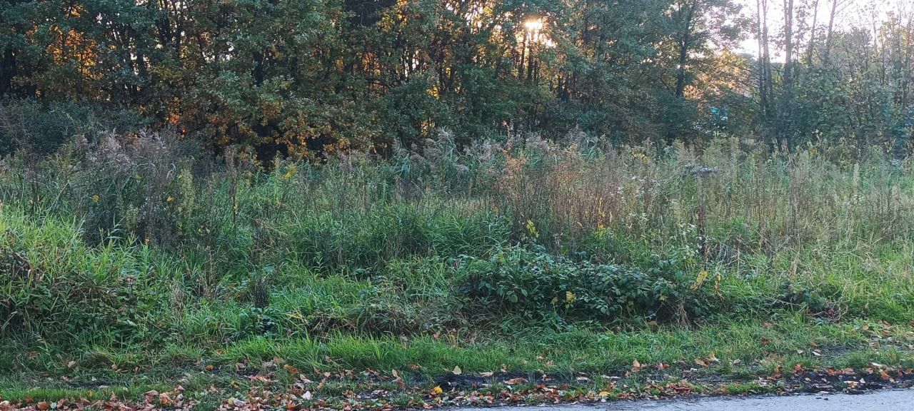 Działka budowlana Dąbrowa Szlachecka, ul. Długa. Zdjęcie 3