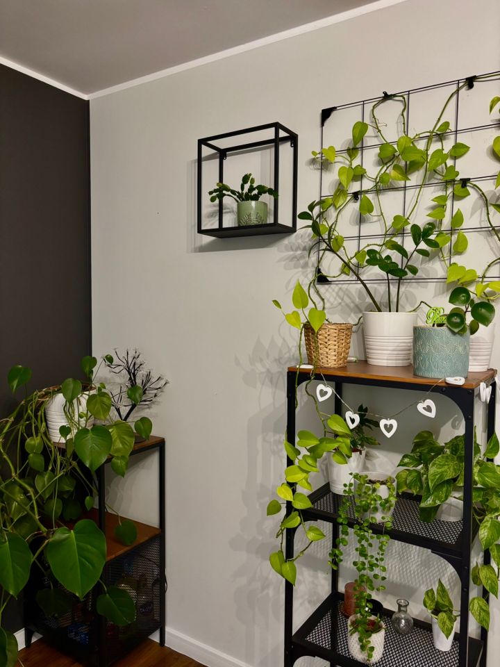 Mieszkanie 2-pokojowe Gdańsk Jasień, ul. Kazimierza Leskiego. Zdjęcie 22