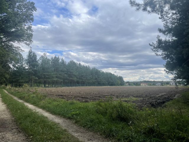 Działka rolno-budowlana Siedliska, ul. Pod Dębami. Zdjęcie 1